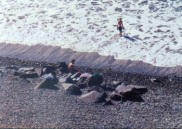 Tom 1174.jpg: 1992/11/01 So Carlsbad State Beach - 1992